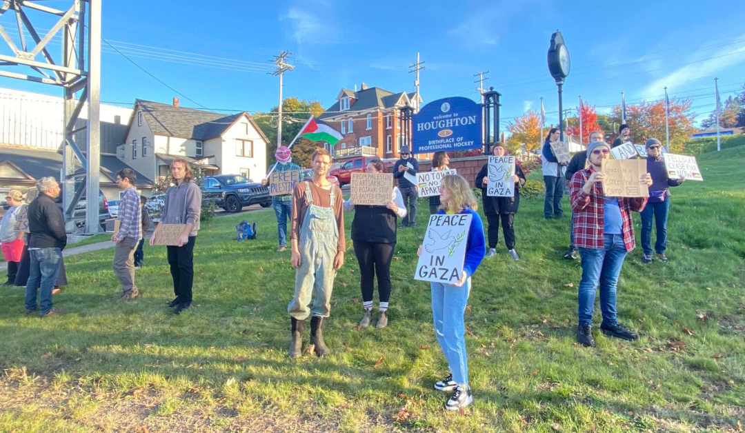 picture of a group of people demonstrating in support of palestine